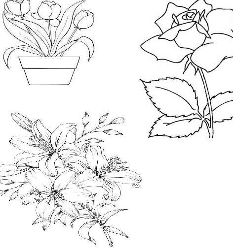 Menggambar bunga kamboja memiliki teknik yang berbeda dengan menggambar bunga mawar hal ini disebabkan oleh