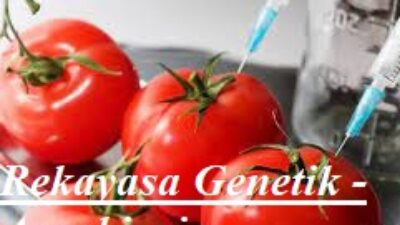 Rekayasa Genetik Agrobisnis