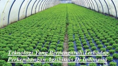 Teknologi Yang Berpengaruh Terhadap Perkembangan Agribisnis Di Indonesia